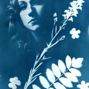 Limited Edition unique cyanotype prints