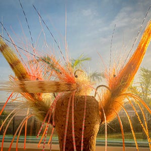 FlySmith S.W. Shrimp