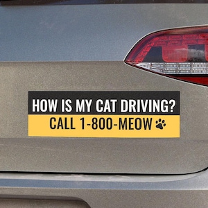 Puede incluir: Una pegatina rectangular para parachoques con texto negro sobre fondo amarillo. El texto dice "HOW IS MY CAT DRIVING? CALL 1-800-MEOW" con un icono de huella de pata. La pegatina está adherida a la parte trasera de un vehículo gris.