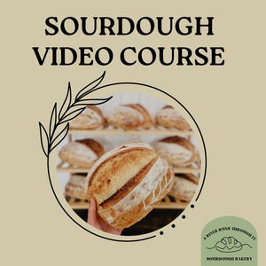 May include: A sourdough video course offered by A River Runs Through It Sourdough Bakery. The image shows a close-up of a freshly baked sourdough loaf of bread.