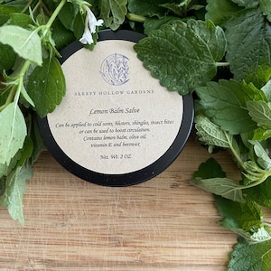 Lemon Balm Salve