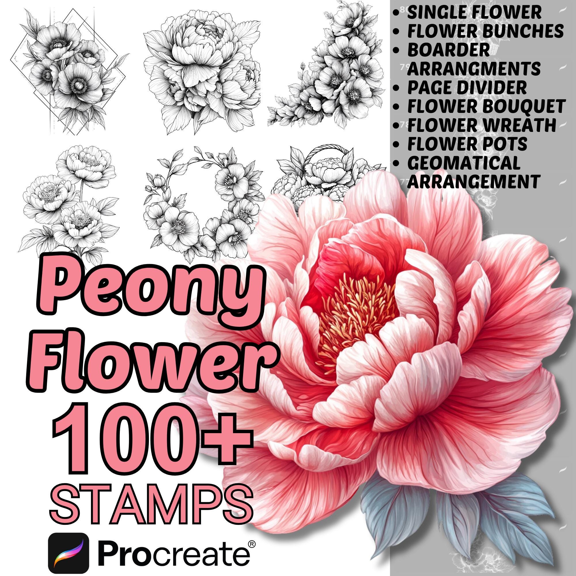 Procreate Peony Flowers Brushes | 100+ Peony Flower Procreate Stamps ...