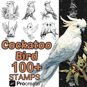 Pinceles de animales de cacatúa para Procreate / Más de 100 sellos de animales de cacatúa para Procreate / Aves / Adultos / Bebés / Dibujos animados de cacatúa para Procreate