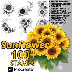 Pinceles de girasoles para Procreate / Más de 100 sellos de girasoles para Procreate / Arreglos florales para Procreate / Botánico para Procreate / Naturaleza / Girasoles