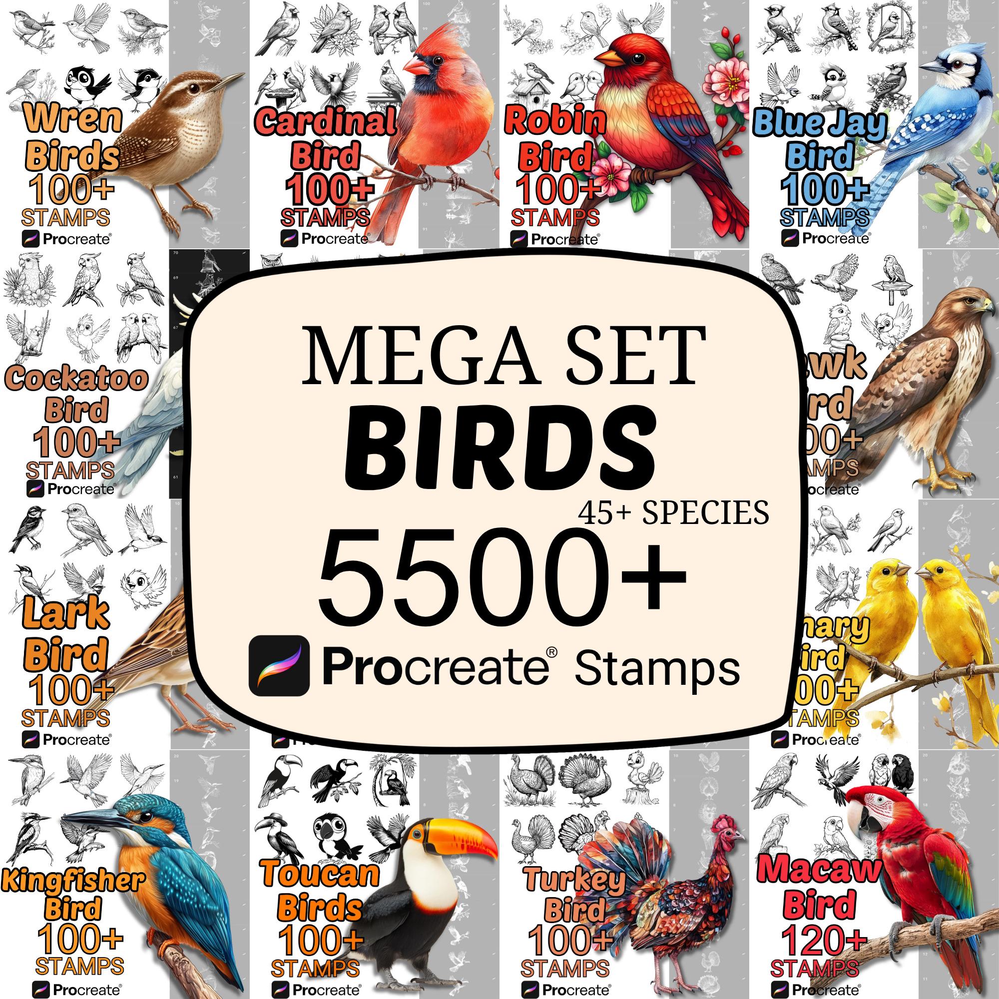 Pack de pinceaux Procreate Oiseaux – 5500+ tampons oiseaux & faune, 45+ espèces, nature & forêt