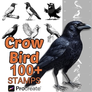 Procreate Crow Bird Animals Brushes | 100+ Crow Bird Animals Procreate Stamps | Birds | Adult | Baby | Cartoon | Crow Procreate | Birds