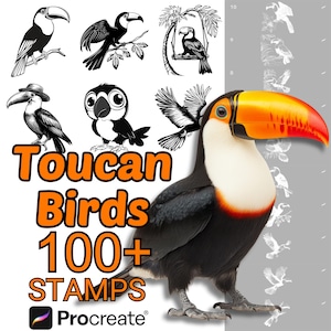 Procreate Toucan Bird Animals Brushes | 100+ Toucan Bird Animals Procreate Stamps | Birds | Tropical | Cartoon Toucan Procreate | Toucan