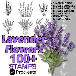 Procreate Lavender Flowers Brushes | 100+ Lavender Flower Procreate Stamps | Floral Arrangements Procreate | Botanical | Nature | Lavender