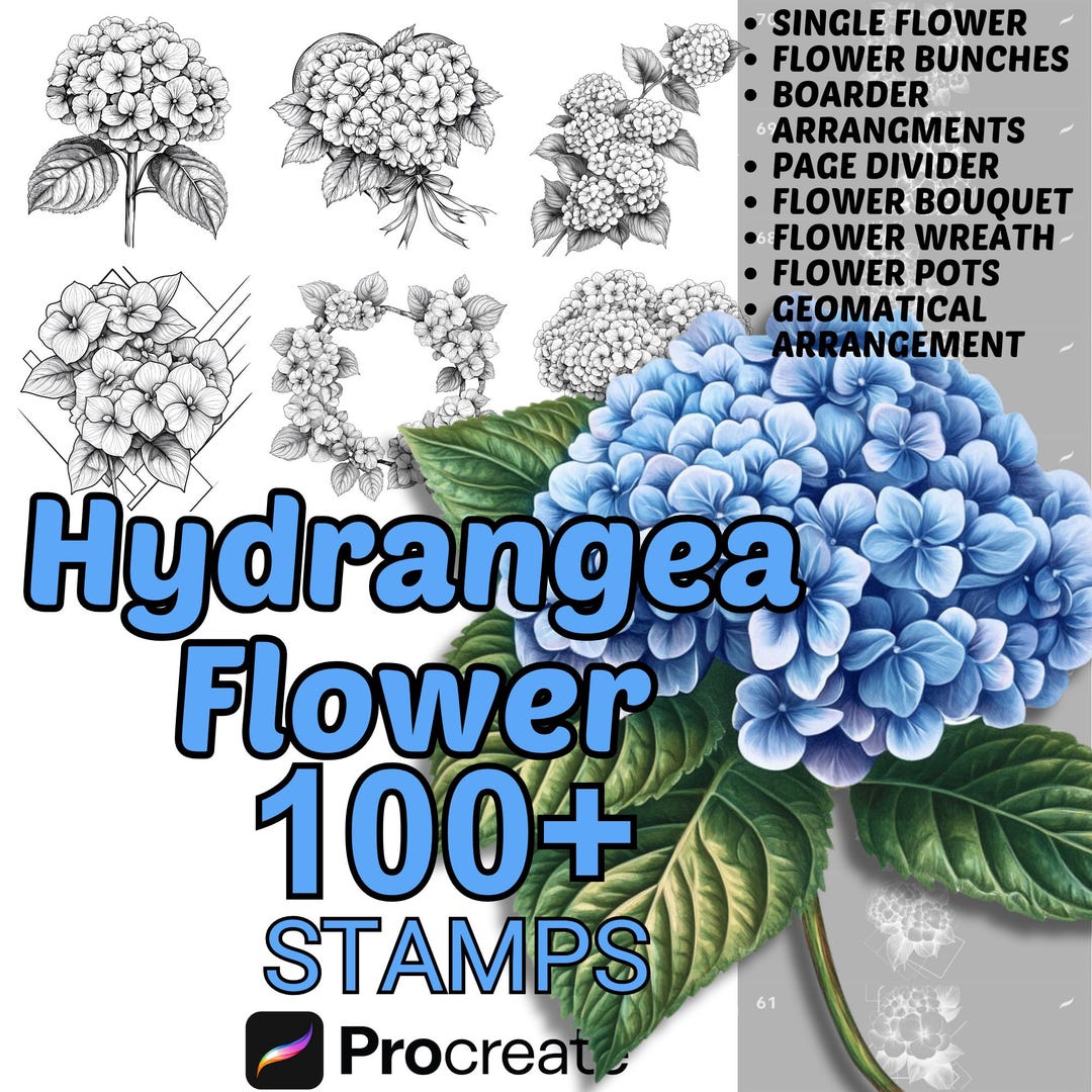Procreate Hydrangea Flowers Brushes | 100+ Hydrangea Flower Procreate ...