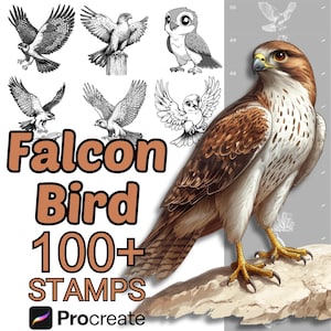 Pinceles de animales de halcón para Procreate / Más de 100 sellos de animales de halcón para Procreate / Aves / Adulto / Bebé / Dibujos animados / Halcón para Procreate / Pájaro