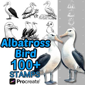 Pinceles de albatros para Procreate / Más de 100 sellos de albatros para Procreate / Aves / Adultos / Bebés / Dibujos animados de albatros