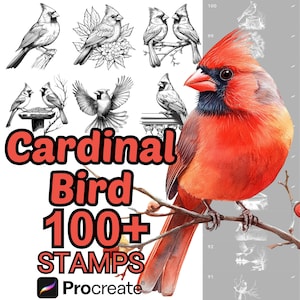 Pinceles de animales de pájaro cardenal para Procreate / Más de 100 sellos de animales de pájaro cardenal para Procreate / Pájaros / Adulto / Bebé / Cardenal de dibujos animados para Procreate