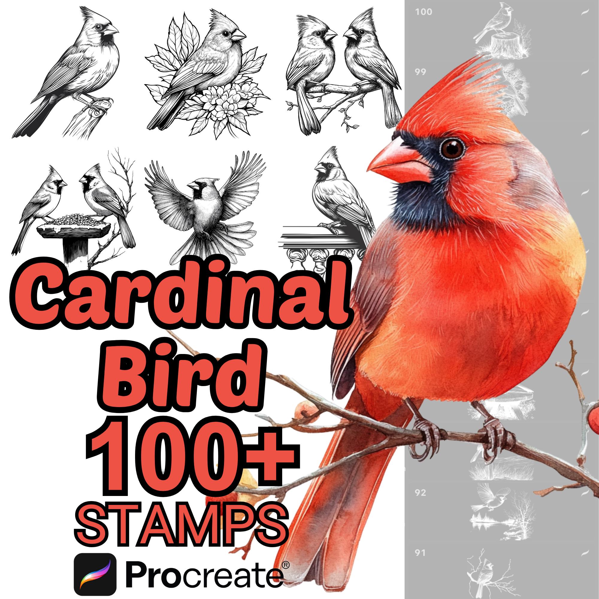Pinceles de Procreate de pájaros cardenal | 100+ sellos de cardenales para adultos, bebés y estilo cartoon