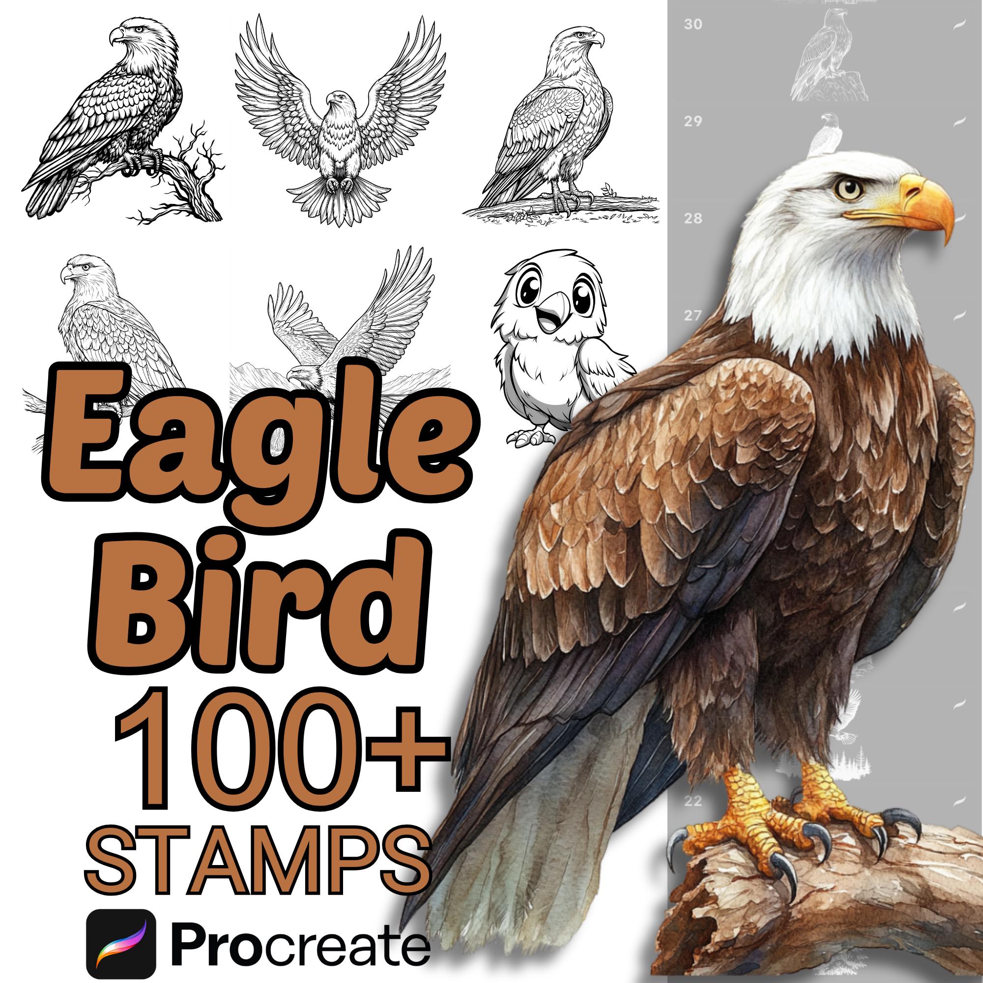 Pinceles de Águilas para Procreate | 100+ Sellos de Águilas (Adulto, Polluelo, Caricatura)