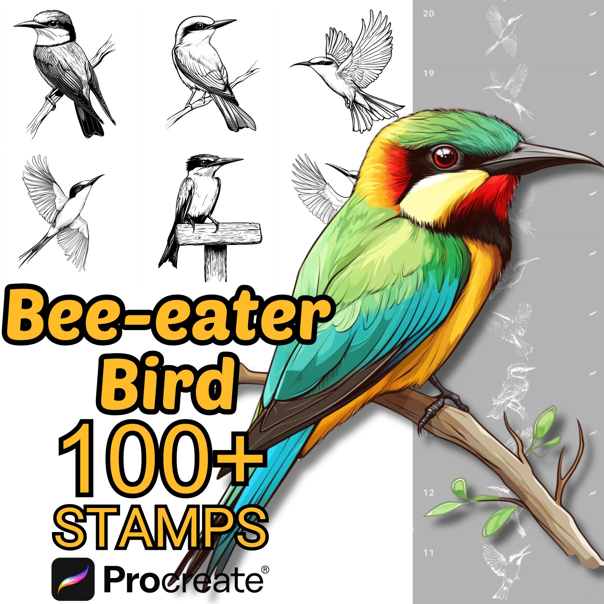 Procreate Bee‑Eater Bird Brushes | 100+ Procreate Stamps for Birds, Adults, Babies & Cartoon Styles