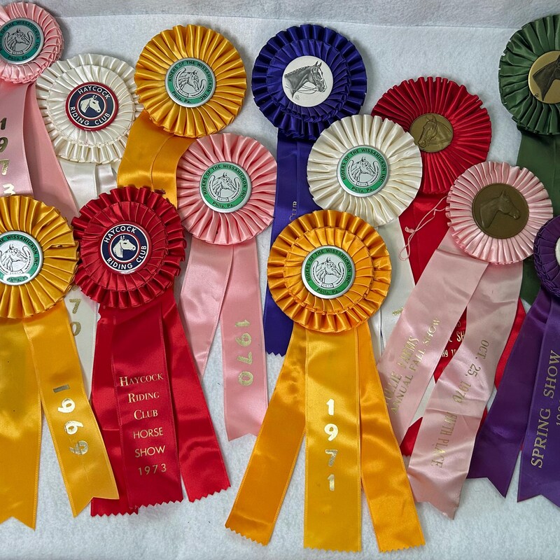 Horse Show Ribbons - Etsy