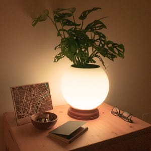 Può includere: Una lampada a globo bianca con una base in legno, illuminata, con una pianta verde in un vaso bianco sopra la lampada. La lampada è su un tavolo in legno con una mappa, chiavi in una ciotola, un quaderno e occhiali.