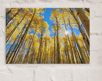 Vibrant Golden Fall Foliage Aspen Trees Canvas Print, Eco-Friendly Material, Fall Colors, yellow trees, wall art, rustic decor