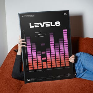 May include: Black framed poster with the word "LEVELS" in white, above a graphic of pink and purple bars. The poster also includes the text "RISING FALLING BREAKING" and "FREQUENCY COLLECTION sound wave studios."