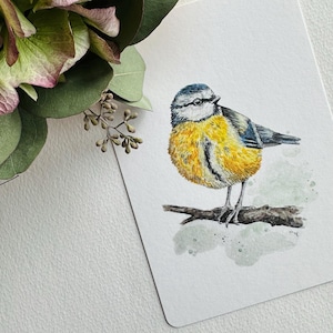 Postkarte - A6 - Blaumeise - Vögel - heimische Vögel - Karte - Geburtstagskarte - kleiner Gruß - Aquarelle - handgemalt - Naturpapier