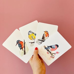 Könnte beinhalten: Vier Kunstdrucke mit Aquarellillustrationen verschiedener Vögel. Jeder Druck zeigt eine andere Vogelart, darunter Eisvogel, Blaumeise, Rotkehlchen und Gimpel, alle auf Ästen sitzend. Die Drucke haben einen weißen Hintergrund.