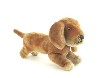 vintage mohair steiff dachshund dog  ...  dackel hexie  ...  swivel head  ...  button in ear