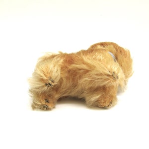peky original vintage steiff mohair pekinese ... vintage german dog ... made in germany image 5