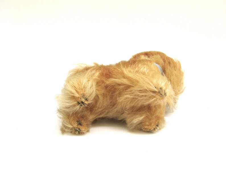 peky original vintage steiff mohair pekinese ... vintage german dog ... made in germany image 5