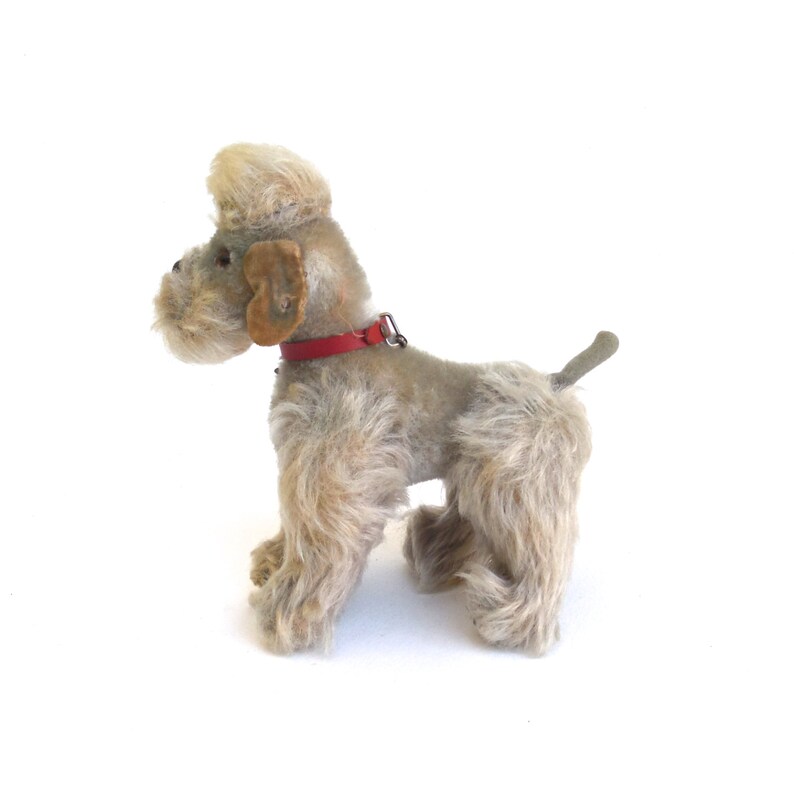 steiff poodle dog