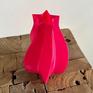 May include: A vibrant, hot pink decorative vase with a star-shaped top and a unique, curved design. The vase is made of a smooth material and sits on a rustic wooden surface.