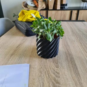 May include: A black, spiral-design plant pot containing a green succulent. The pot is placed on a light brown wooden table. The plant has small, rounded green leaves.