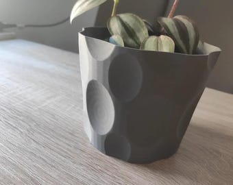 May include: A grey, textured plant pot with a distinctive design, containing a small plant with green and burgundy leaves. The pot features a series of large, circular indentations. The plant pot is on a light-coloured wooden surface.