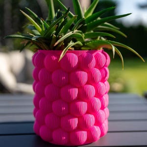 May include: A bright pink planter with a textured bubble design, holding a green succulent plant.