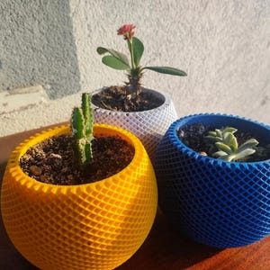 Op de afbeelding: Drie decoratieve, bolvormige plantenbakken in geel, wit en blauw, elk met een gestructureerd, roosterachtig patroon. De gele plantenbak bevat een kleine cactus, de witte een plant met een rode bloem en de blauwe een vetplant. De plantenbakken staan op een houten oppervlak.