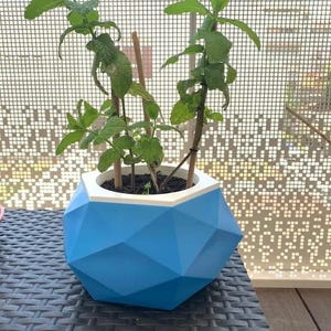 Op de afbeelding: Een blauwe geometrische plantenbak met een witte rand bevat een muntplant. De plant heeft groene bladeren en bruine stengels. De plantenbak staat op een zwart geweven oppervlak, met een patroonachtergrond.