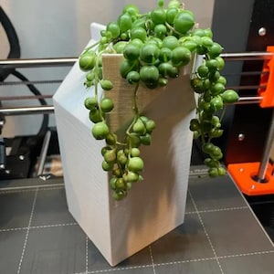 Peut inclure: Un pot géométrique blanc contenant une plante succulente en forme de chaîne de perles. La plante a de petites feuilles vertes rondes qui tombent sur les côtés du pot. Le pot est posé sur une surface grise.