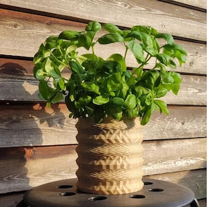 Puede incluir: Una maceta beige decorativa con un diseño geométrico, llena de albahaca verde vibrante. La maceta se encuentra sobre una superficie negra contra un fondo de madera, mostrando las hierbas frescas.