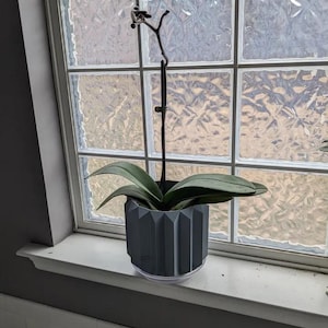 Op de afbeelding: Een orchidee in een grijze pot met geometrisch patroon, met groene bladeren en een donkere stengel. De pot staat op een witte vensterbank met een doorzichtige schotel. Op de achtergrond een glazen blokkenraam.