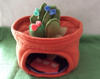 TheHomespunLoft Cactus Dish Garden Hide, Perfect for your Hedgehog or Guinea Pig