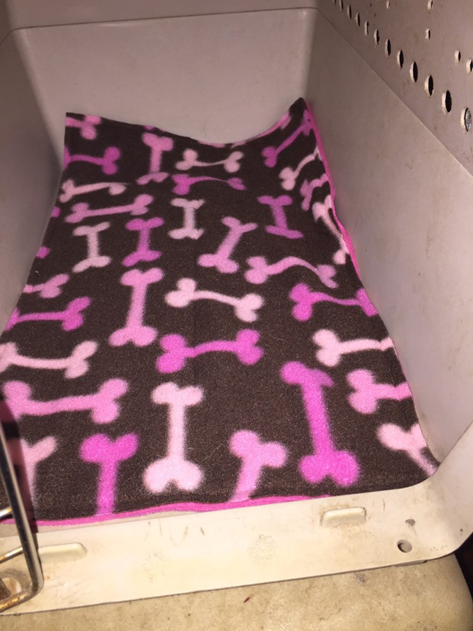 Small Dog Crate Liner Pad Pink Bones Etsy