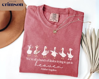 Funny Silly Goose Catholic T-Shirt, Mother Angelica Quote, Comfort Colors