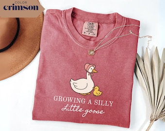 Comfort Colors Silly Goose Pregnancy Announcement Shirt: Expecting Mom Tee