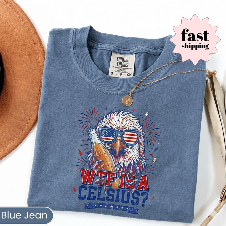 Funny Patriotic Drinking Shirt, WTF Is A Celsius Eagle Tee, Retro USA Beer Shirt, 4th of July Meme Comfort Colors Shirt image 2