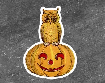 Halloween Sticker Vintage Owl and Pumpkin Illustration Vinyl Diecut Sticker.