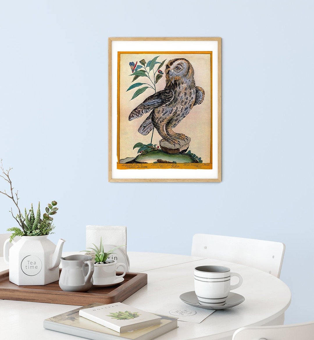 Large Vintage Poster Horned Owl Antique Illustration Wall Art Print ...