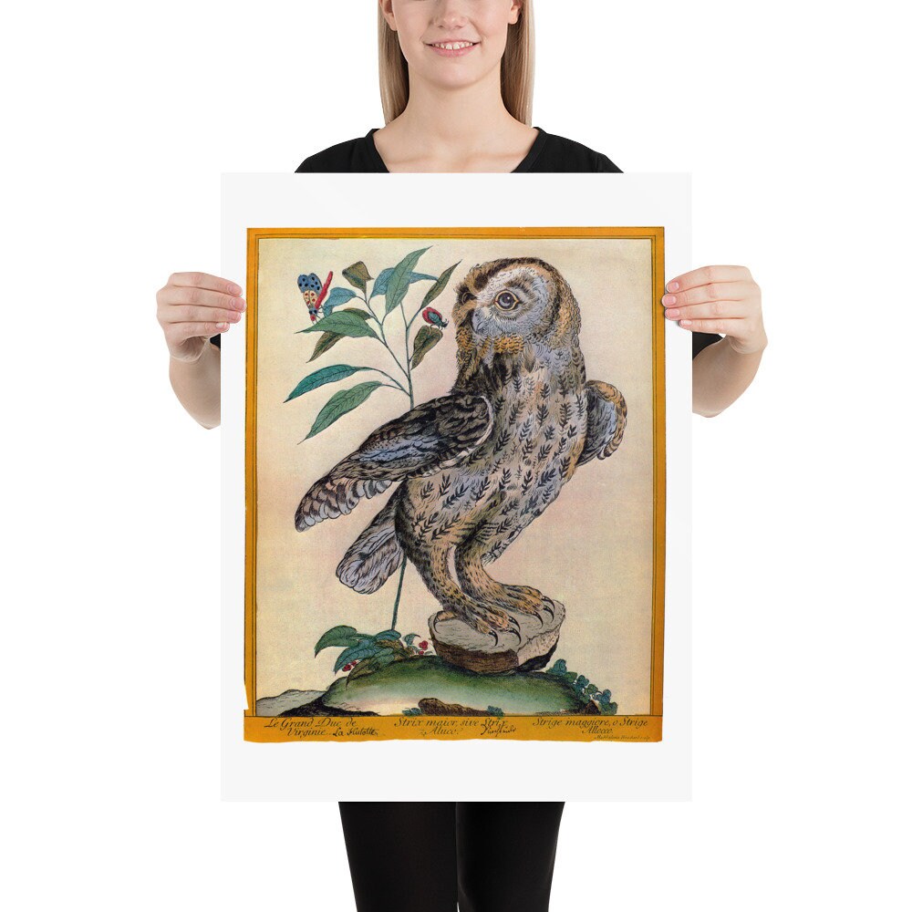 Large Vintage Poster Horned Owl Antique Illustration Wall Art Print ...