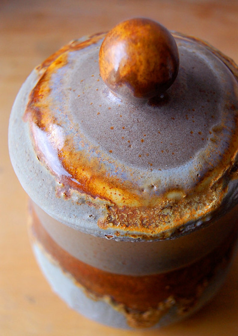 Vintage Ceramic Cookie Jar Container Lava Grey Honey Gold Laurentian Potteries Coffee Rustic Home Decor 1970s image 4