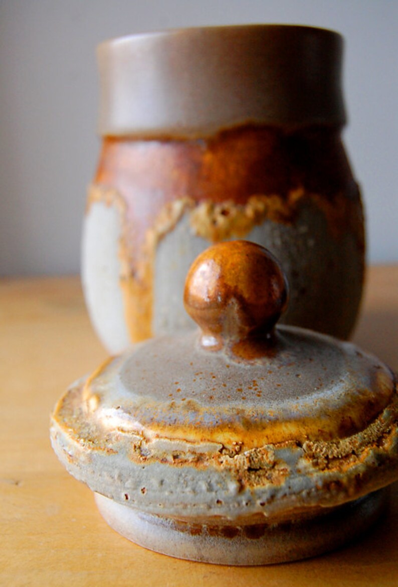 Vintage Ceramic Cookie Jar Container Lava Grey Honey Gold Laurentian Potteries Coffee Rustic Home Decor 1970s image 2