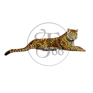 Vintage Jaguar Clip Art Wild Animal Big Cat Jungle Nature Graphic Design Art Illustration Drawing Digital Download