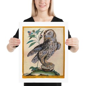Vintage Print Horned Owl Antique Illustration Wall Art Print Renaissance Natural History Bird Nature Rustic Woodland Animal